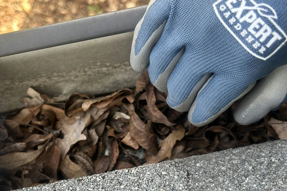 Gutter Cleaning Stony Point