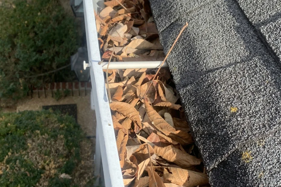 Gutter Cleaning Stony Point